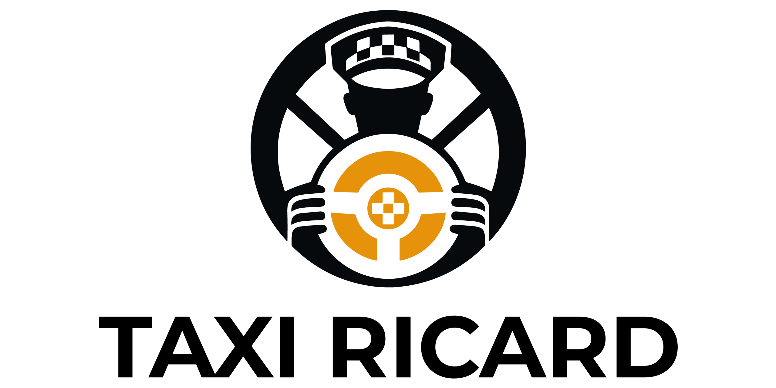 cropped TAXI RICARD Logo Principal scaled 1